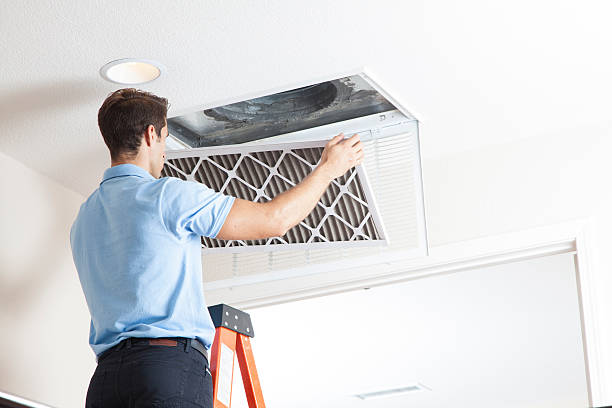 Best HVAC Repair Near Me  in Moorefield, WV